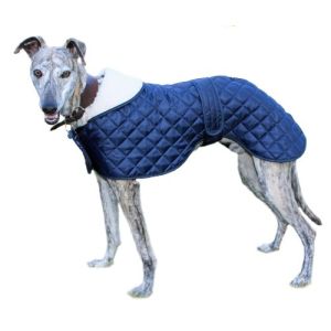 Cosipet Greyhound Anorak in Blau