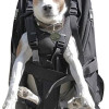 Yiiquanan Hund Rucksack Verstellbar Pack Mittelgroße & Large Hunderucksack für Wandern Camping Reise Blau#1, Asia S 