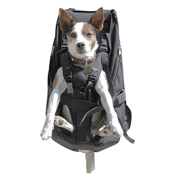 Hunderucksack von DogCarrier für Hunde bis 16 kg